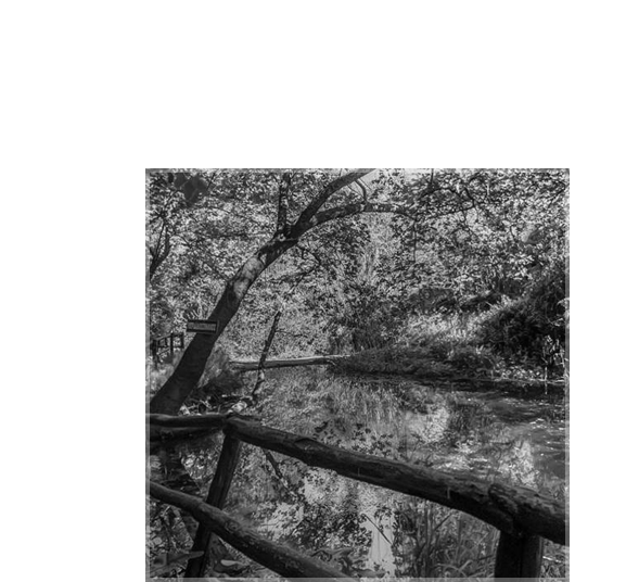 Layer